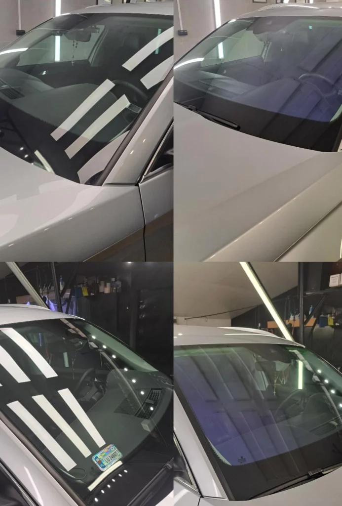 folia kameleon jędrzejów