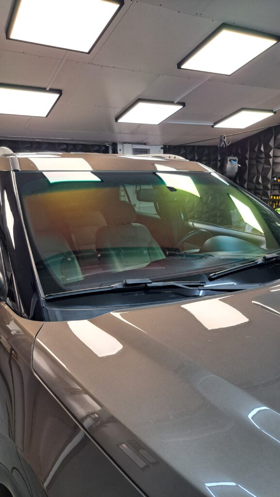 folia kameleon Jędrzejów